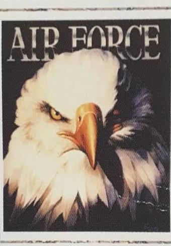 Air Force Eagle 23x35